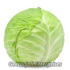 Indian Origin Natural Cabbage