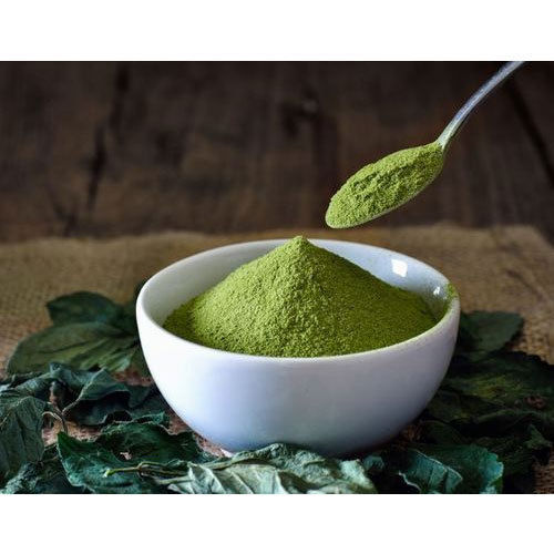 Green Tea Extract Powder