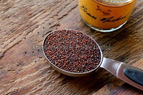 Natural Brown Mustard Seeds