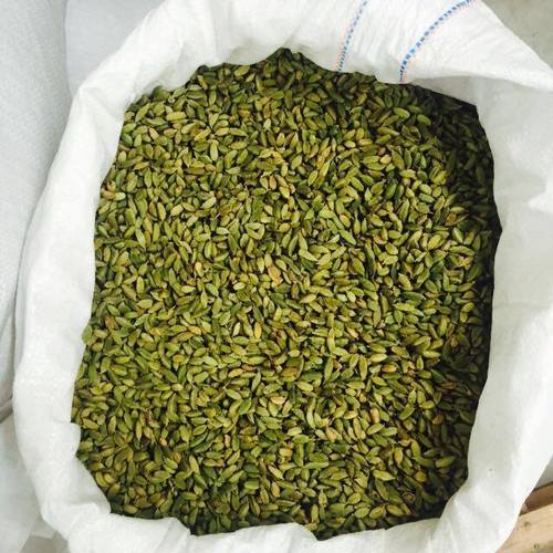 Premium Quality Dried Green Cardamom 7-9 MM