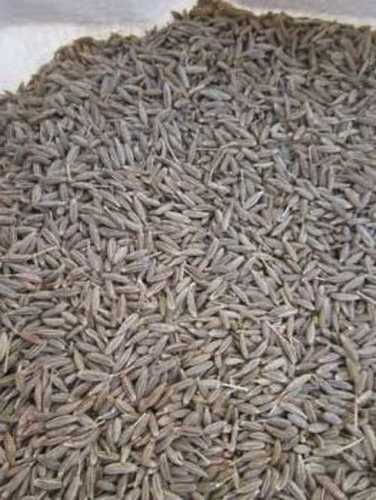 Imported Quality Cumin Seeds