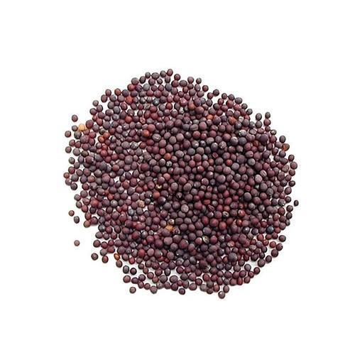 Mustard Seeds for Oil and Spices