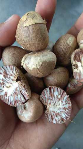 Natural Dried Betel Nuts