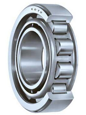 Ss Body Cylindrical Roller Bearing Moisture (%): 5%