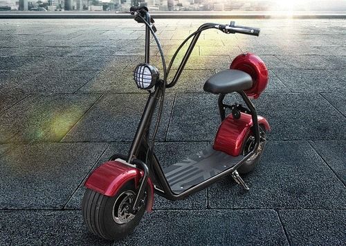 10 Inch Fat Tire Citycoco Electric Scooter