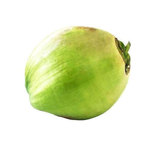 A Grade Green Raw Coconut