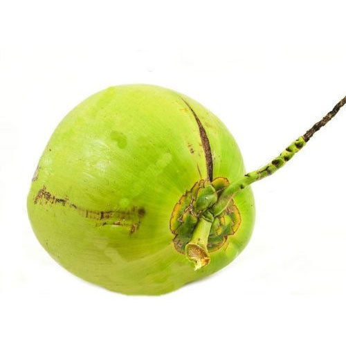 B Grade Green Raw Coconut