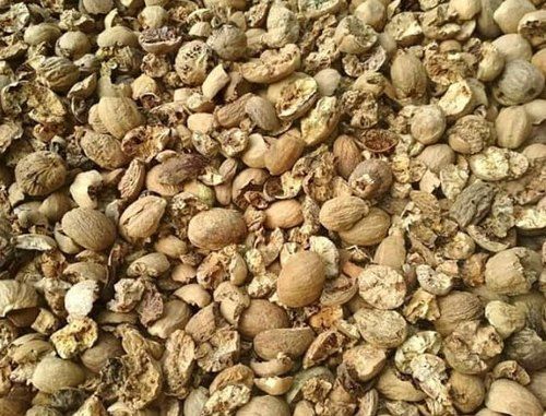 Impurities Free Dry Nutmeg