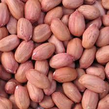 Superior Grade Groundnut Seeds