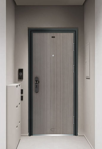 Customized Hinged Steel Security Doors