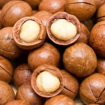 High Quality Macadamia Nuts Shelf Life: 2 Years