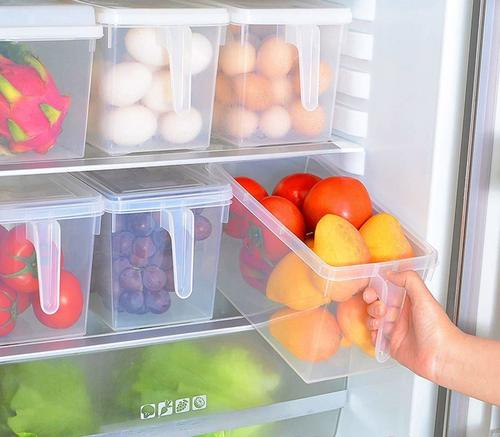 Stylish Fridge Storage Box Age Group: Suitable For All