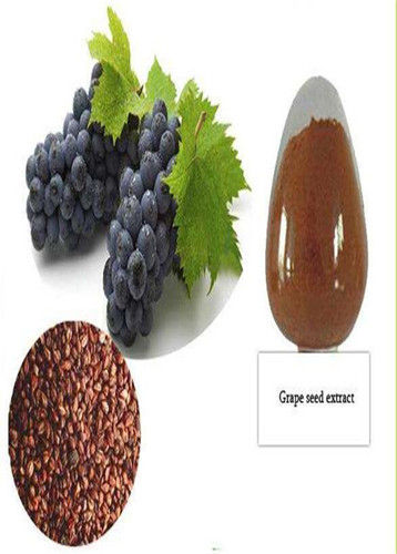 Grape Seed Plant Extract