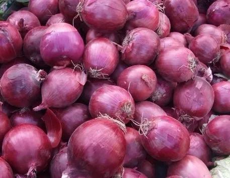 Oval Farm Fresh Onion (Red)