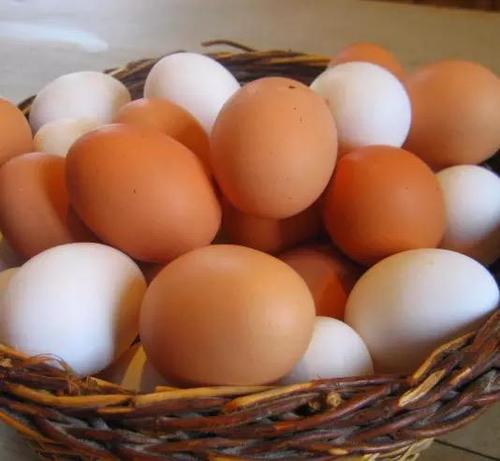 White and Brown Birds Eggs