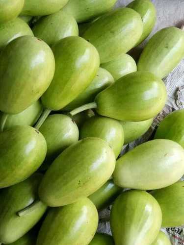 Fresh Bottle Gourd