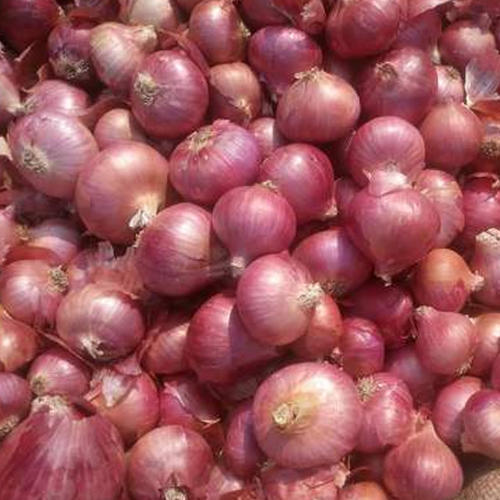 Farm Fresh Red Onion