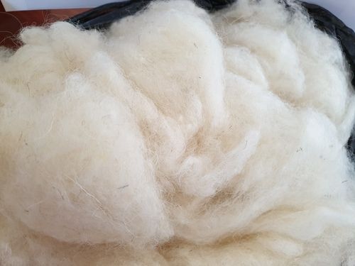 Natural Raw Sheep Wool