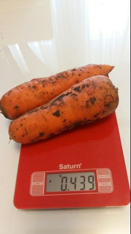 Solid And Tasty Frozen Carrot