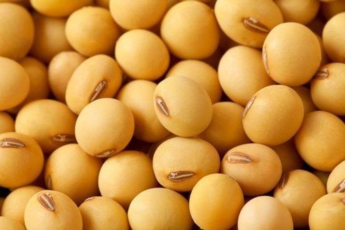 Natural Yellow Soya Bean