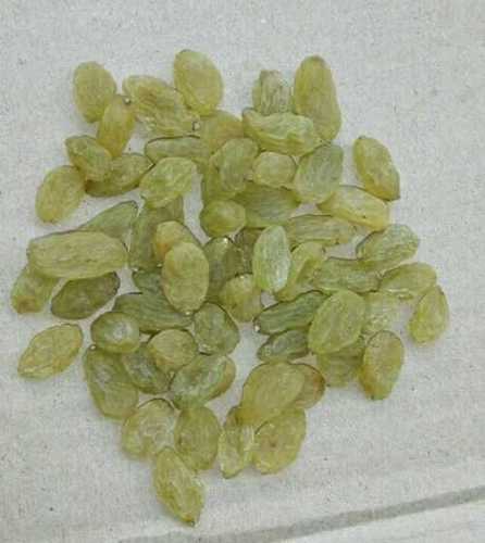 Common Pulpy Green And Testy Raisins