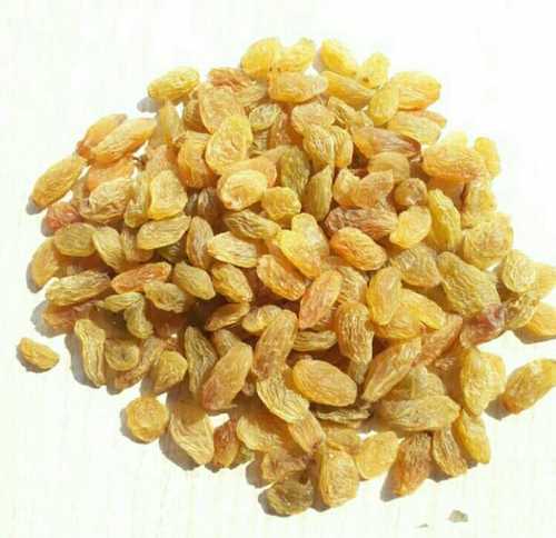 Sweet Dried Golden Raisins - 100% Pure Natural Sweetener, Rich in Carbohydrates, Elongated Normal Size