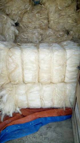 Anti-Bacteria Anti Bacteria Sisal Fiber