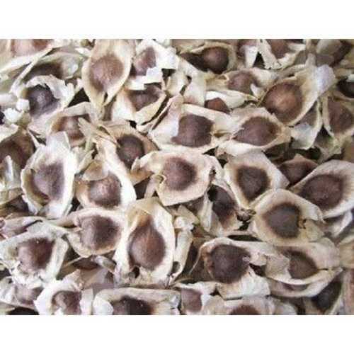 100% Natural Dried Moringa Seeds