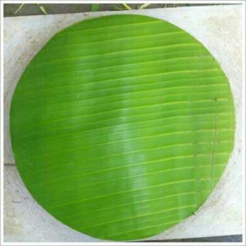 Green Banana Leaf Palm Plate