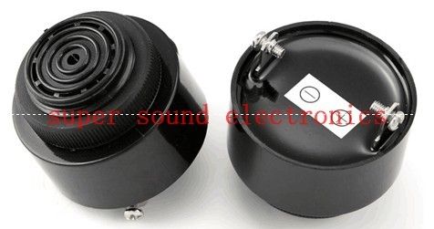 Abs Top Quality Automotive Buzzer