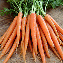Fresh Natural Orange Carrot