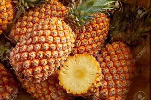 Natural Fresh Pineapple Fruit