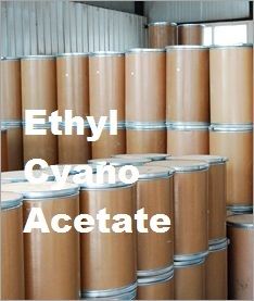 Ethyl Cyano Acetate