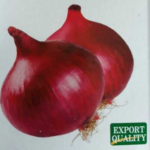 Export Quality Red Onion