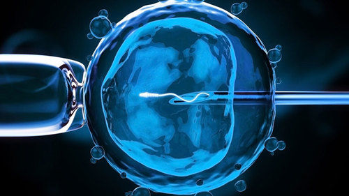 इन विट्रो फर्टिलाइजेशन (IVF) प्रक्रिया