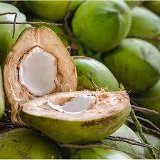 Pure Natural Green Coconut