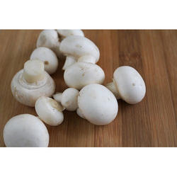 Fresh Natural Button Mushroom