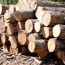 Long Lasting Natural Timber Wood Logs