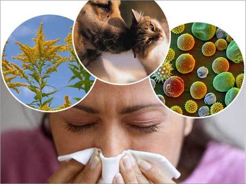 Allergies Treatment Service