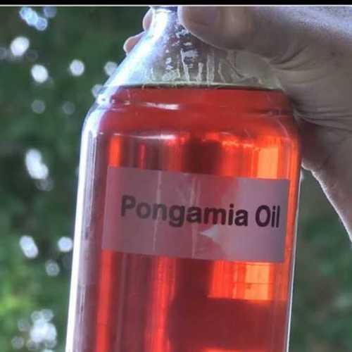 Pongamia Seed Oil