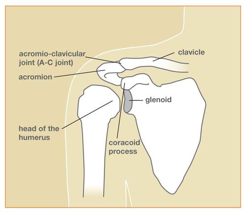 Shoulder Fractures Treatment Services By Ortho One Orthopedic Speciality Clinic