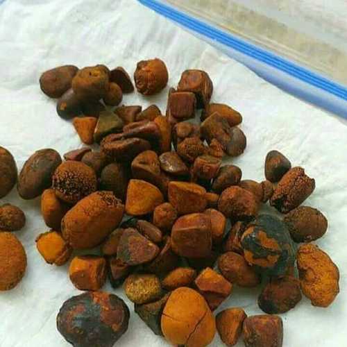 Ox Gallstones For Medicine Purposes