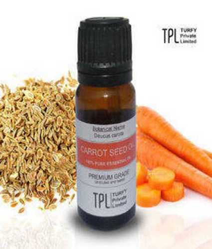 Turfy Carrot Seed Oil