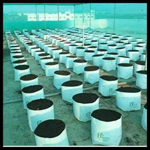 150 Micron Ldpe Grow Bag