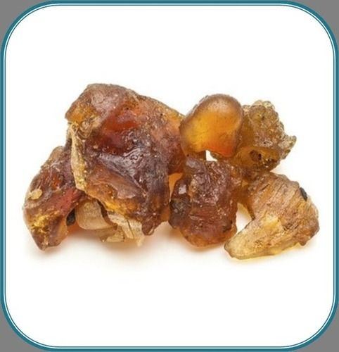 Guggul Extract