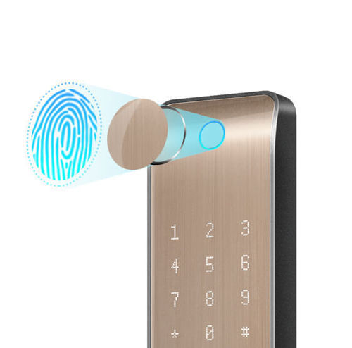 Corrosion Resistance Fingerprint Door Lock