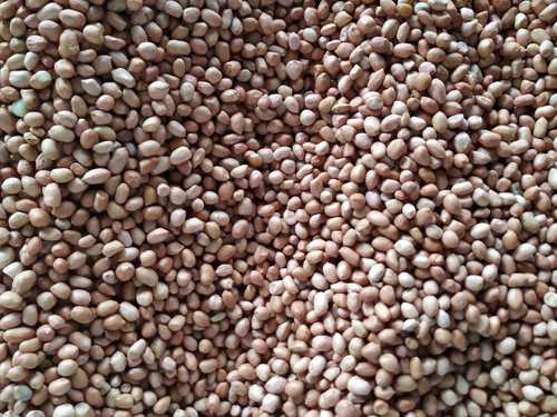 Pinkish Pure Natural Groundnut Seeds