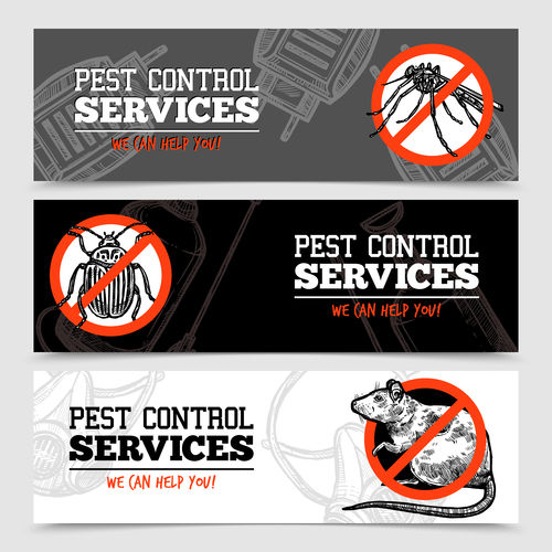 Commercial Pest Control Services