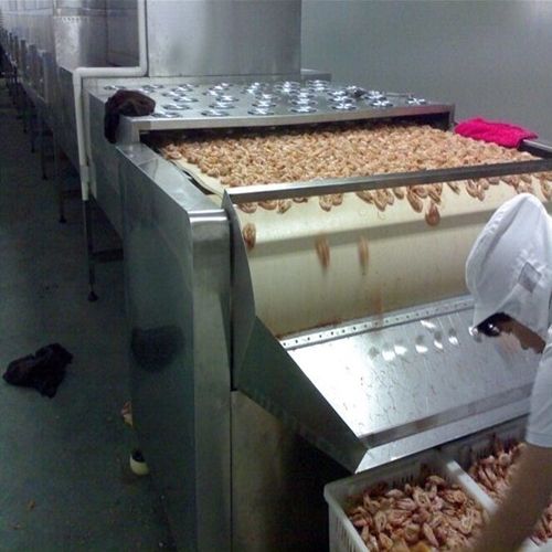 White Continuous Microwave Shrimp Drying Machine Shrimp Dryer