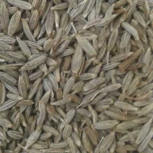 cumin seed